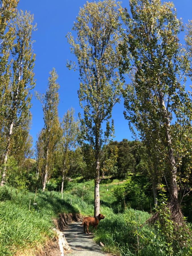 מלון נלסון Citrus Grove מראה חיצוני תמונה